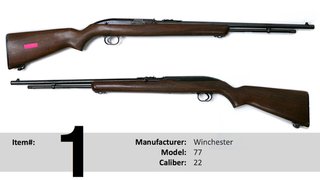 Fisel Guns, Noble County